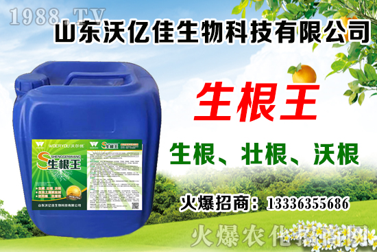 Ӱ푲�ݮ��ѿ�ֻ���������Щ����ݮ��ѿ�ֻ����c��ֲ����Ҫ�c��