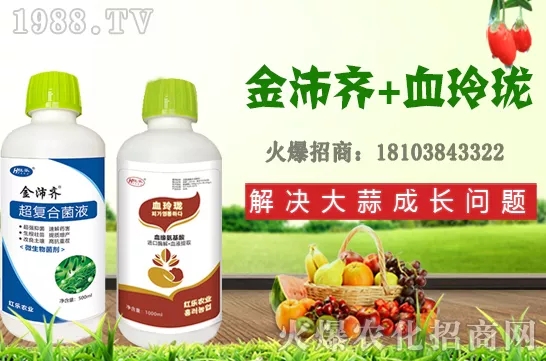     �ļ�ʯ�����L��(x��)������Щ���ļ�ʯ����ֲ���g(sh��)�������ڹ�����