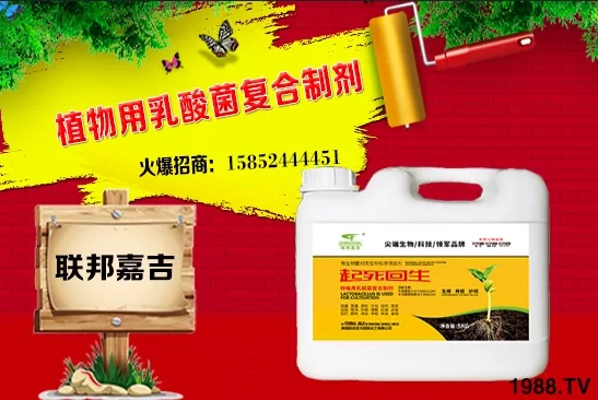 大蔥生長條件有哪些？大蔥需肥特點及秋季管理！