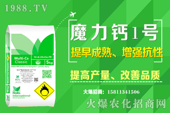 ʮ����Ѯ�m�ϷNֲʲô��ˎ������Щ��ˎ��ٍ�X�������