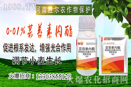 С���r(ji��)���ϝq��(ji��)����u�d�������п��ڣ�10��22��С���r(ji��)������