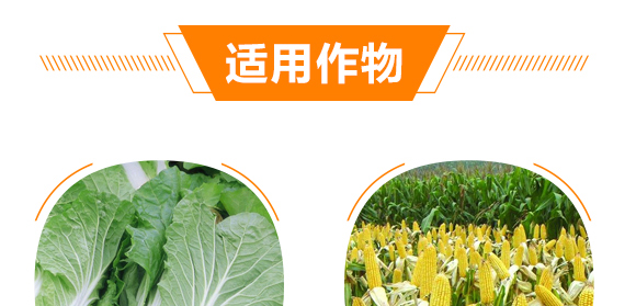 生物有機多元肥-好施特_09