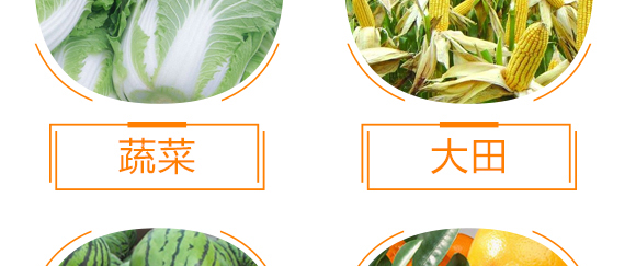 生物有機多元肥-好施特_10