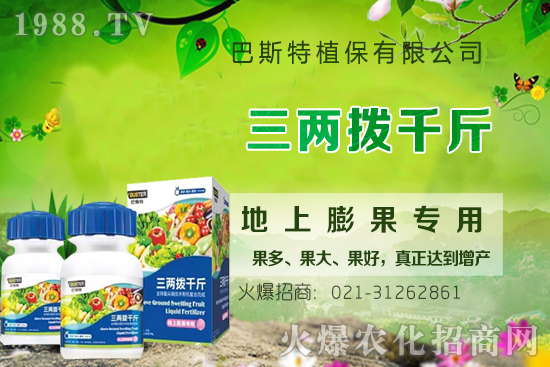 影響牛膝根系的生長(zhǎng)因素有哪些？牛膝生根壯苗用什么葉面肥？