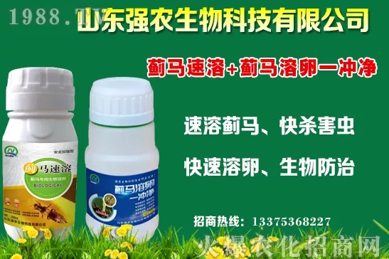 秋冬11月種植什么蔬菜比較合適？蔬菜種植注意事項(xiàng)！