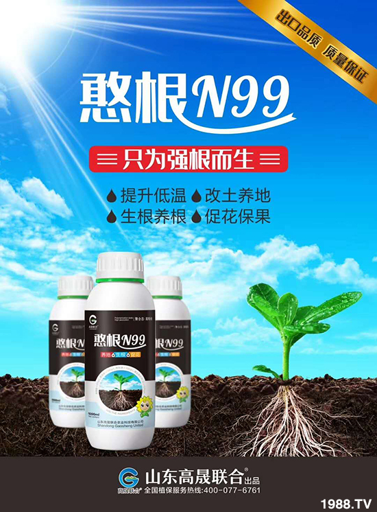 ɽ�|�������r�I(y��)�Ƽ����޹�˾