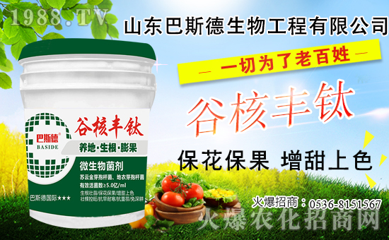 ��(f��)�Ϸ�Ҫ�q�r(ji��)����2020-10-28��(f��)�Ϸʃr(ji��)���������