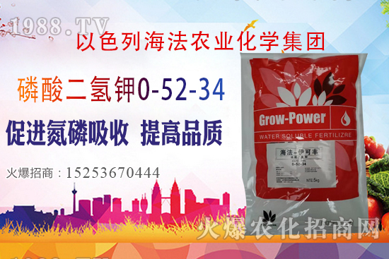 2020��10��28�����؃r(ji��)��(w��n)�����������؃r(ji��)�����(b��o)��