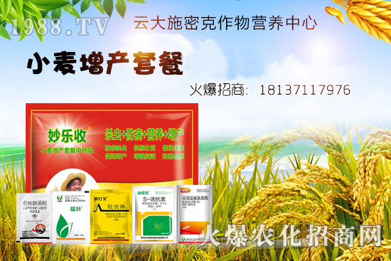 小麥播種后不出苗？是什么原因造成的？