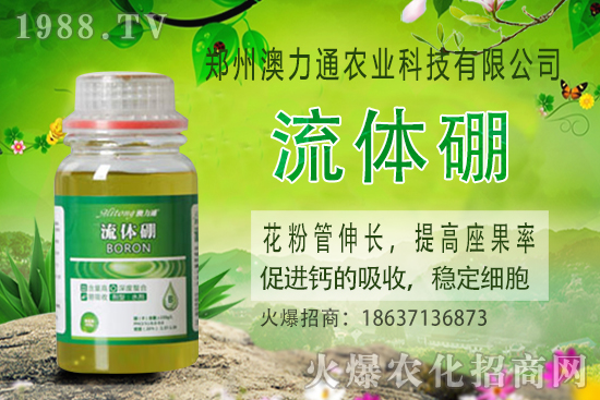 ⛷ʃr����m(x��)���q��2020-10-30����(n��i)⛷ʃr���rһ�[