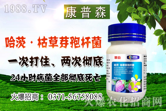 С���r(ji��)��ֹ���ط�(w��n)��С���r(ji��)���ܝq������