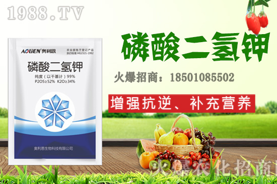 吡唑醚菌酯+蕓苔素＋磷酸二氫鉀，有什么作用？