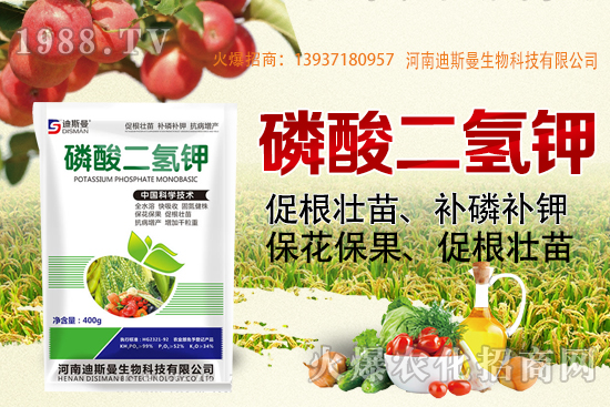 小麥報價！2020年10月7日小麥價格！