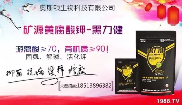 大蒜什么時(shí)間播種？注意事項(xiàng)有哪些？各地大蒜種植時(shí)間表！