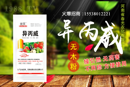 蒜苗種植前景及怎么樣？蒜苗種植要點(diǎn)及田間管理！