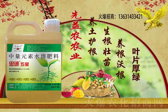 花生價(jià)格還能繼續(xù)上漲么？2020-11-10部分區(qū)域花生價(jià)格詳情