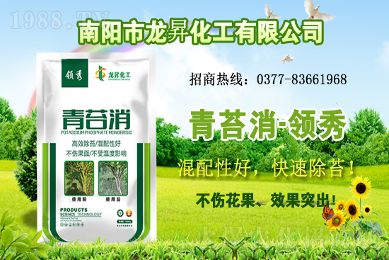 �󶹹�����(y��ng)�󣬃r(ji��)����m(x��)�ϝq�����ش󶹃r(ji��)������