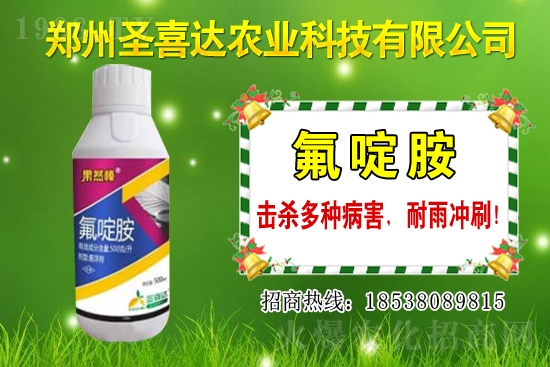 �������N��������Щ���������Ժ�ʲô�����׷N��