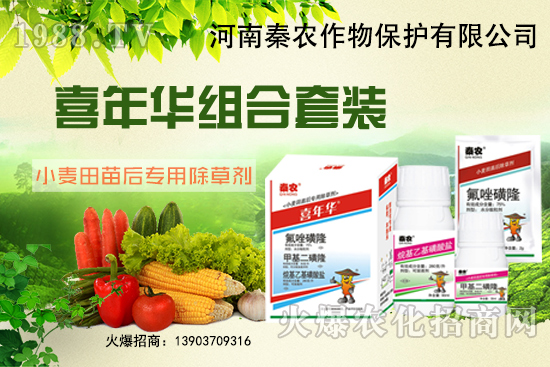 小麥為什么要冬前除草？選什么除草劑效果好？