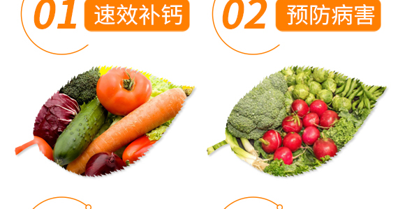 ����Ӣ���~���r(n��ng)�I(y��)�Ƽ����޹�˾_06