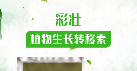 ֲ�����L�D(zhu��n)����-�ʉ�-������A_01