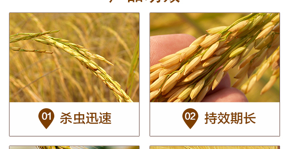 �׾S�����x(ch��ng)��-���A����_05