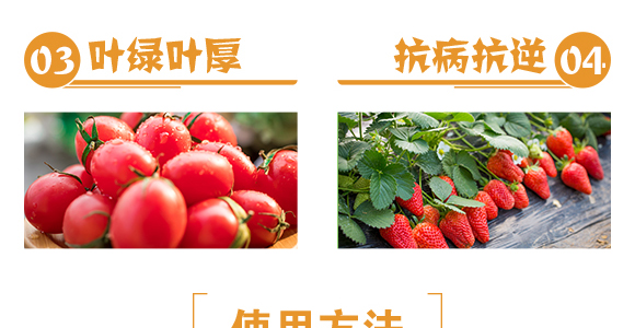 ��������-���R�S_06