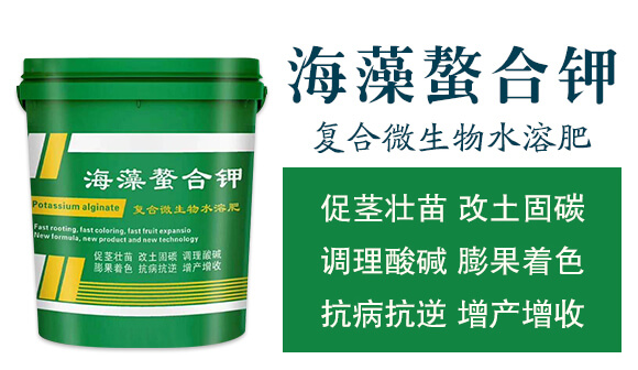 ��(f��)��΢����ˮ�ܷ�-���������-���W����_02