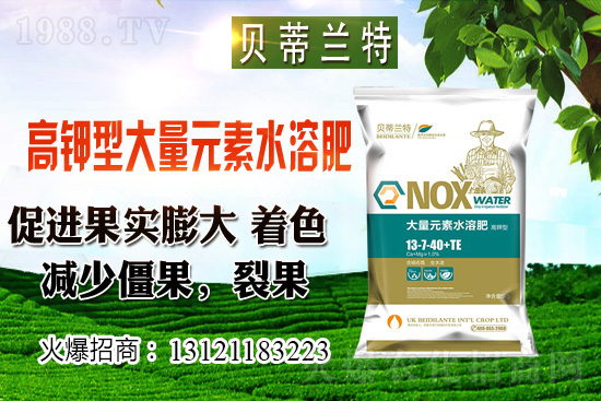 2020��12��С���r���A(y��)�y��������С���r���B��