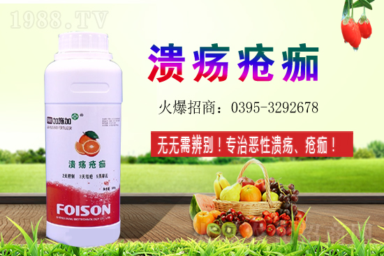 2021年石榴種植收益如何？石榴的利潤(rùn)前景怎么樣？