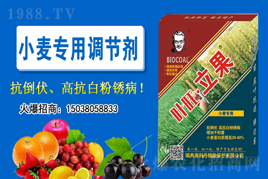 小麥價(jià)格會(huì)不會(huì)上漲？2020-11-26小麥價(jià)格行情