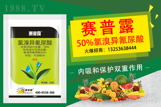 2021���޻��NֲƷ�N����x���޻��x�Nע�������