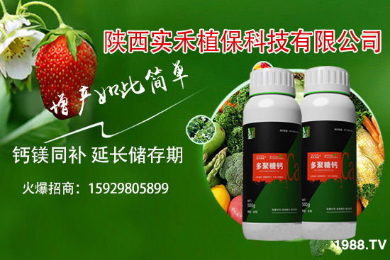 ���t�����~��ʲôԭ�������t�����~���δ�ʩ����Щ��