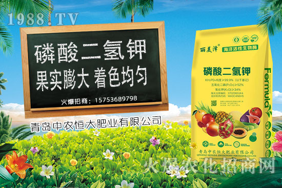 ����С���r���ϝq�������Ƿ�����m(x��)�ϝq��