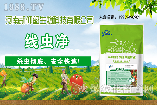 多肉植物該怎么澆水？多肉植物澆水要注意哪些問題呢？