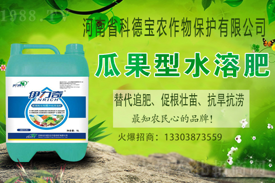 江西贛南臍橙什么時候成熟上市？如何挑選贛南臍橙？