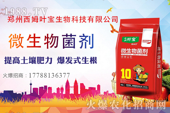     11月7日部分區(qū)域花生價(jià)格行情綜述分析！