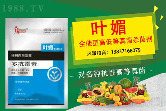 ����������(y��n)��̫�y�p������p�ɽ�Q��