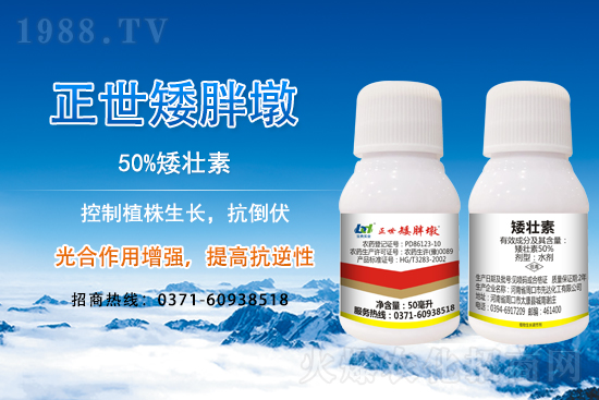 С����ǰ���L��ʲôΣ������ȡʲô��ʩ����Ч��ͽ�L��