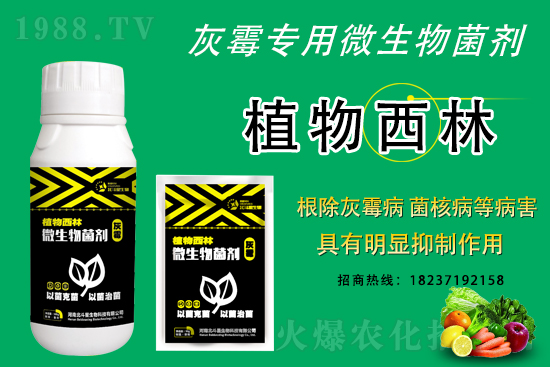 ��ù�������ε�ԭ����ô������Ч������