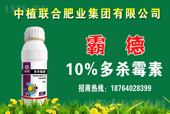 今日小麥價(jià)格行情如何？春節(jié)前小麥價(jià)格還會(huì)上漲嗎？