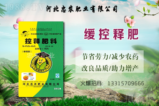 大蒜的產(chǎn)地在哪？種一畝地大蒜要用多少蒜種？畝產(chǎn)量是多少斤？