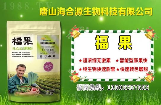 ĿǰС��?zh��n)�ُ�����Xһ����С���r�����������