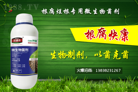 ΢������������θ�����������ô�x����