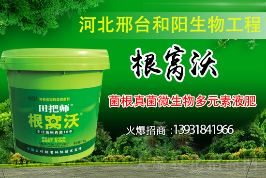 ��Щ��������������������ȡʲô��ʩ���Է�����