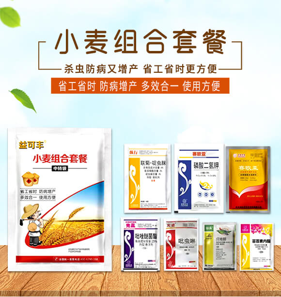 С���M���ײ�-����S-�A�S����_01