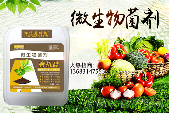 ������(l��i)�u��������m(x��)�͜�����������Ҫ�c(di��n)��