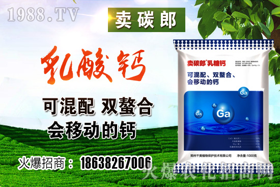 ���������^����С���r�����w��λڅ��(w��n)��