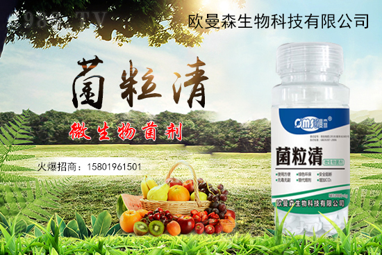 �͜���������ù�����װl(f��)��������R(sh��)�e�c����������ù��