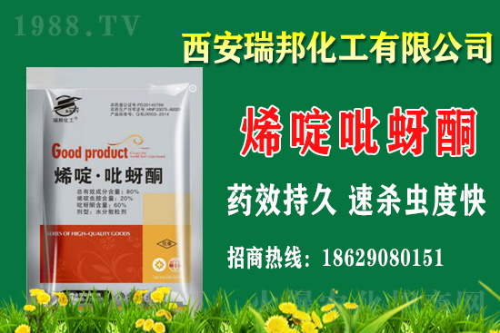 2020.12.21����좚��x���r���߄�